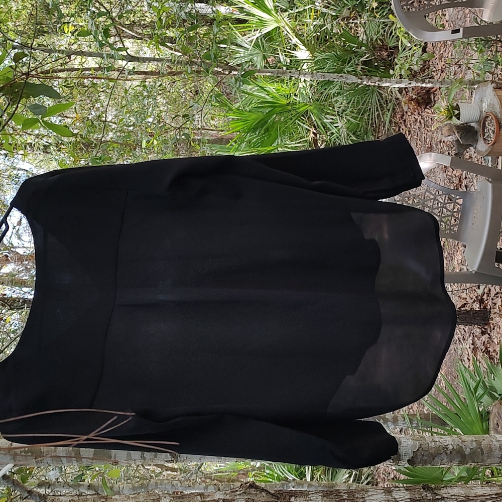 Scheer blouse - Picture 3 of 4